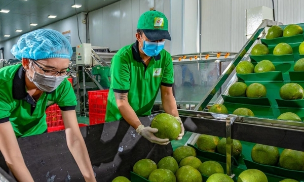 EU giảm cảnh báo vi phạm đối với nông sản, thực phẩm Việt Nam