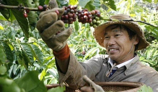 IDH và hành trình 15 năm góp phần phát triển nông nghiệp Việt Nam