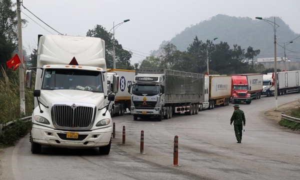 Hơn 250 xe hoa quả xuất khẩu sang Trung Quốc qua Lạng Sơn mỗi ngày