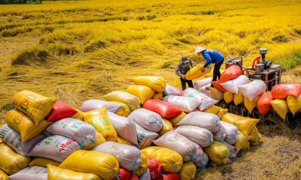 Indonesia chốt hợp đồng 108.000 tấn gạo của Việt Nam