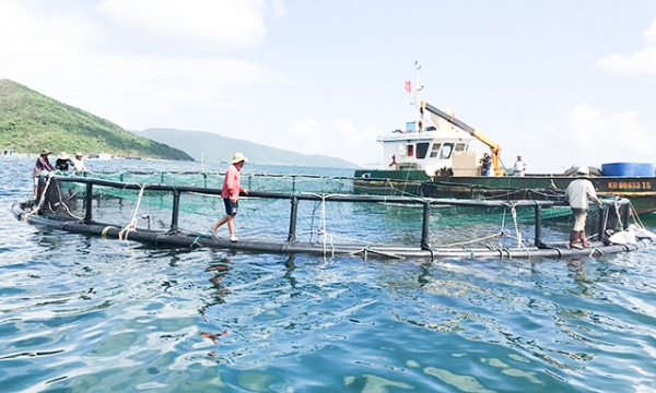 Biotechnology program in aquaculture grosses outstanding results