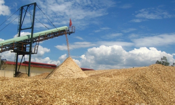 Expanded market - a key for sustainable development of Vietnam’s wood chip industry