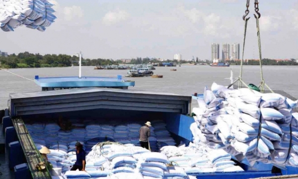 Vietnam rice exports to the Philippines reach over US$1 billion in 2020
