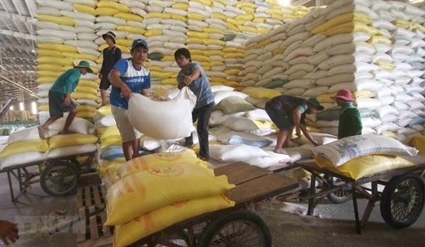 Vietnam’s rice import policy – a clever strategy: Thai expert