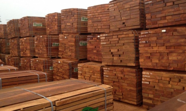 90% of imported woods to Vietnam are raw woods