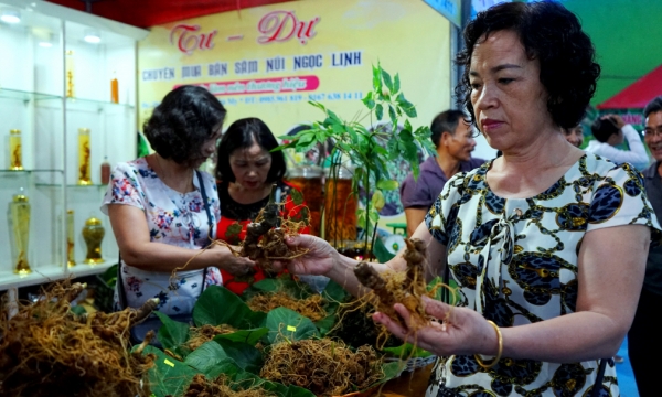 Vietnam focuses on developing domestic medicinal plants