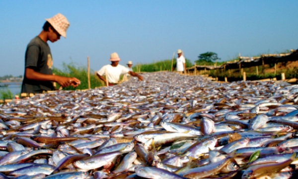Japan grants US$ 2.9 million to promote responsible development in the Mekong River region