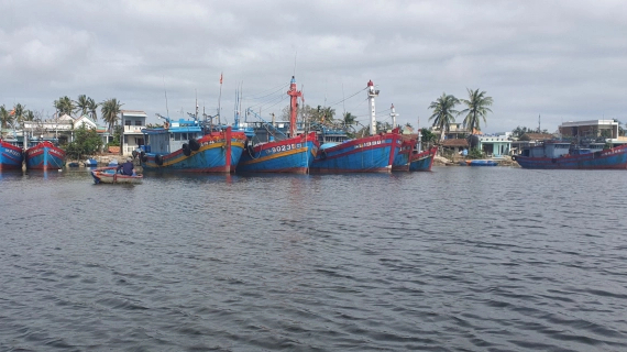 Quang Nam province takes measures to control illegal fishing