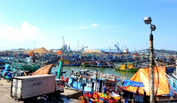 Binh Dinh improves fisheries logistics facility to meet EC recommendations