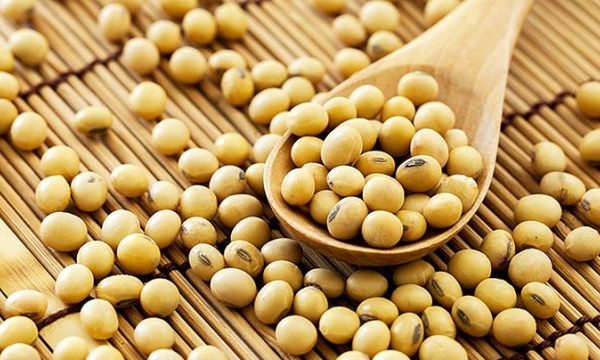 Vietnam's soybean imports sharply increase