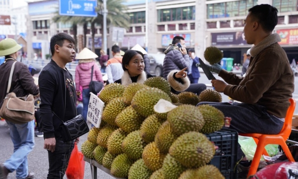 China-Vietnam border port opens to imports of fresh fruits