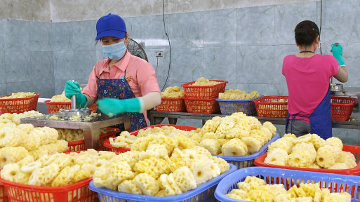 Thanh Hoa canned pineapple is popular in the international market
