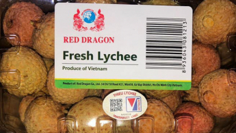 Vietnamese lychee ranks third in market share in Japan