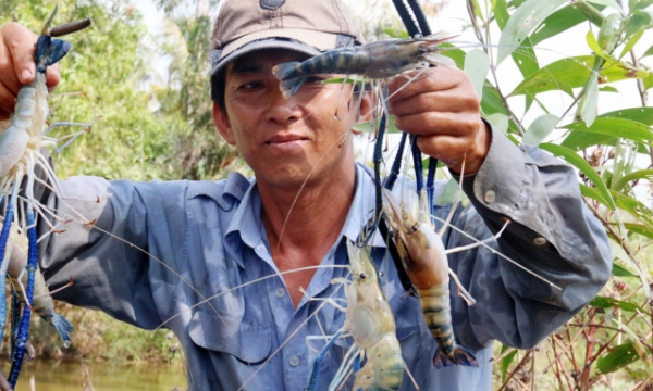 A brief on Vietnam’s fishery development