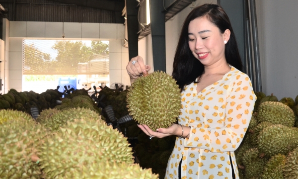 Bringing Vietnamese 'thorny' fruit into demanding markets
