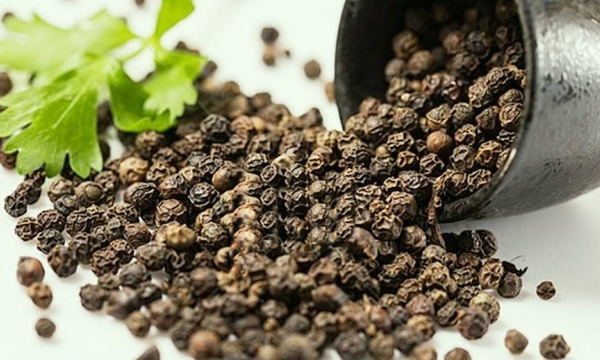 Pepper price tends to increase due to limited supply
