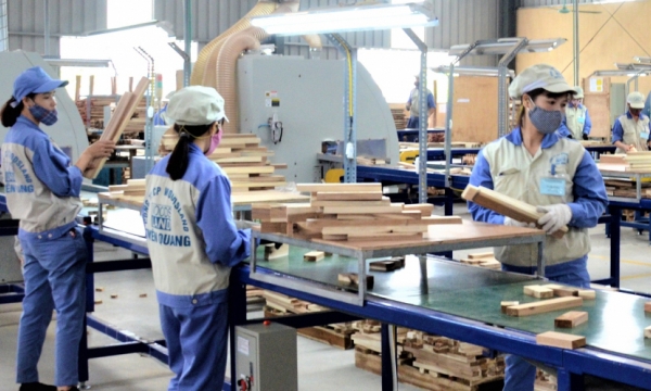 Vietnam's wood industry established a footing gradually in international market