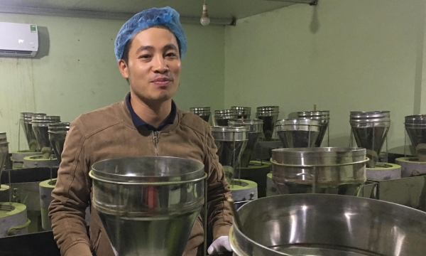 Vegetable powder processing provides access to untapped market