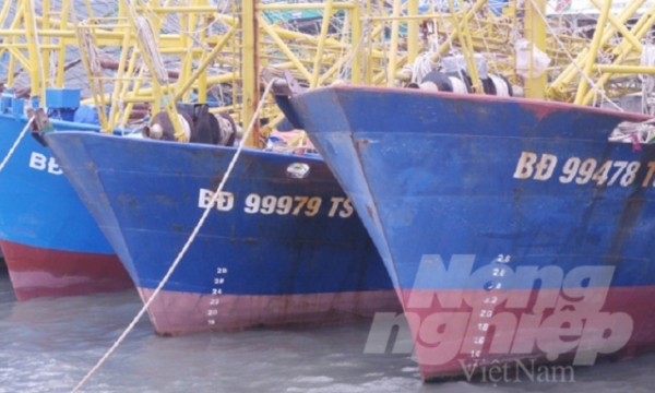 Series of fishing vessels laid-up ashore