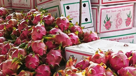 Don’t use Chinese characters and red color on packaging of dragon fruit for export to India