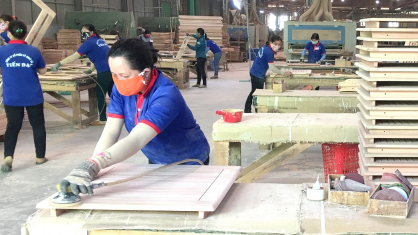 Spectacular growth of Binh Dinh wood sector is fueled by the US market