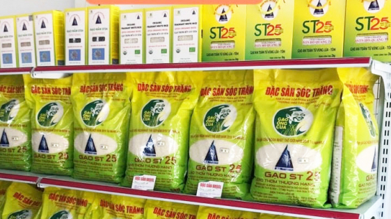 Renewing ST25 rice brand to combat counterfeits