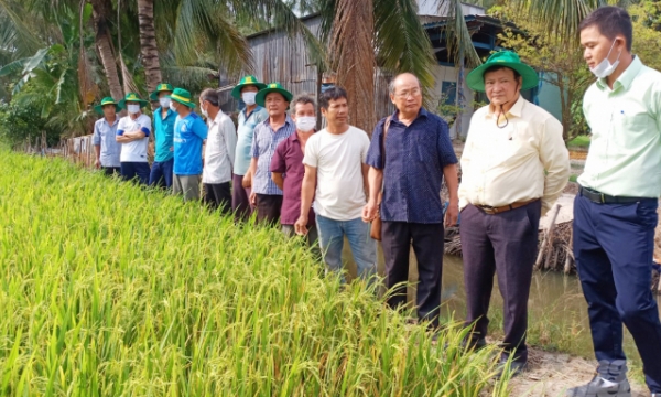 Smart rice farming model-a solution for saline land in Mekong Delta