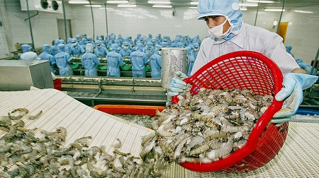 Vietnamese shrimp increases market share in the US