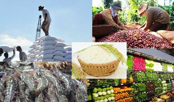 Vietnam’s exports of agricultural products reached $20.1 billion in the last 9 months