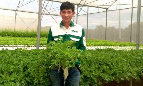 Growing organic vegetables for export