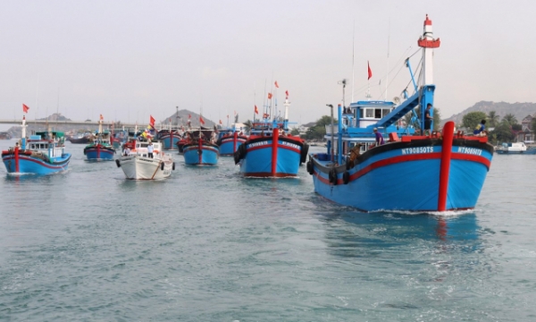 Inconsistency in the management of administrative violations in fisheries
