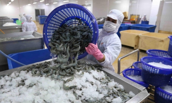 Expanding space for restructuring fishery sector