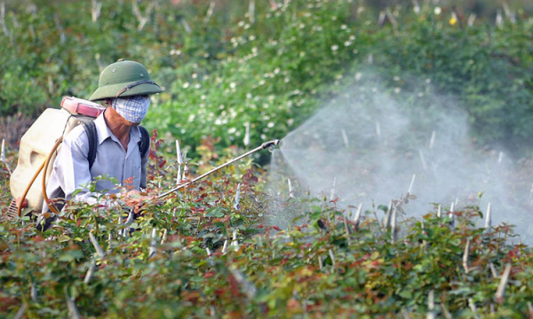 Prime time for the development of biological pesticides