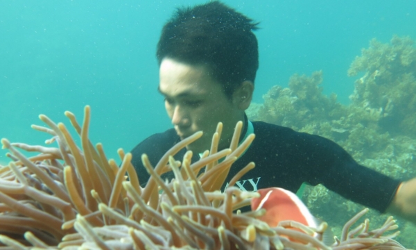 Community joins forces to protect and restore coral ecosystem
