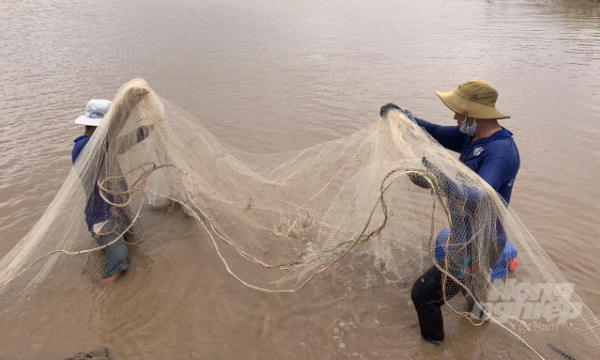 Sustainable livelihood model for shrimp farmers in Bac Lieu