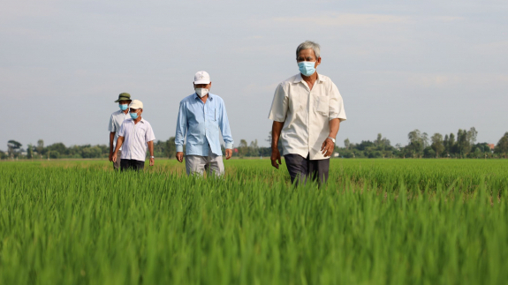 Applying SRP standards in production produces quality rice