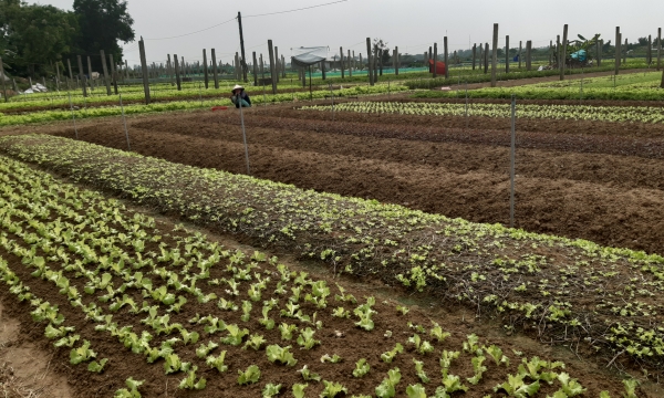 Developing a green and sustainable agriculture