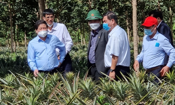 Deputy Minister Le Quoc Doanh inspects agriculture production in Dak Lak, Gia Lai provinces