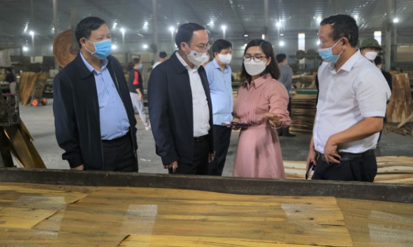 Bac Kan: Making wood processing the main industry