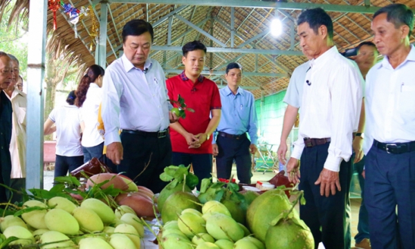 Ambition for a ‘Green - Sustainable - ecological’ Mekong Delta