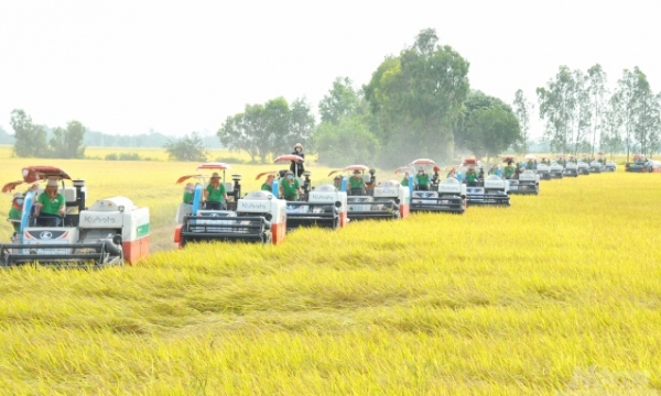 Granting and training farmers to use 123 agricultural machineries.