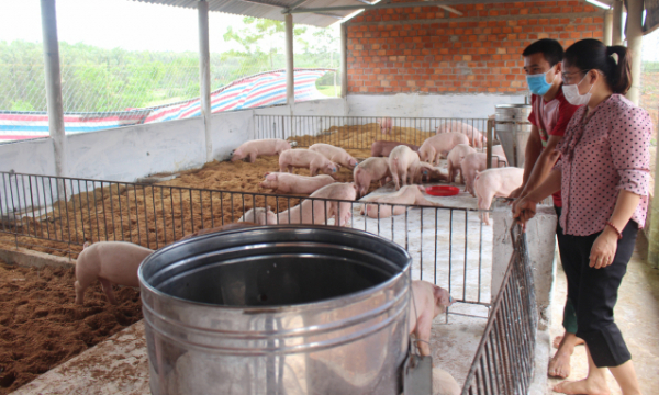 Biosafety pig farming models with huge spreading effect