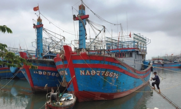 New decree for fisheries sector difficult to succeed without realizing fishermen's needs