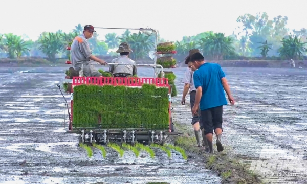 VnSAT's six-year journey to better rice farmers