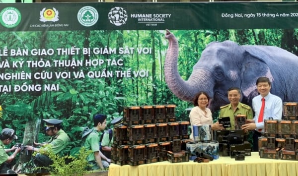 Equipment handed over to support elephant protection in Dong Nai