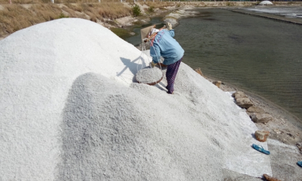 Slow technological innovation in salt production