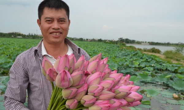 Rural tourism: Owner of the 'lotus village' over 50 hectares amidst the capital city
