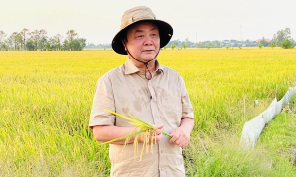 Confidently building a brand name for Mekong Delta Agriculture