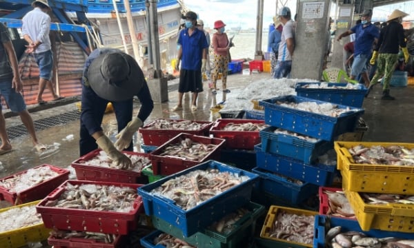 More measures to prevent and control disease on fishery products