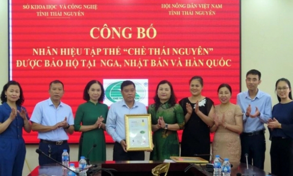 'Thai Nguyen Tea' trademark officially protected in 6 countries